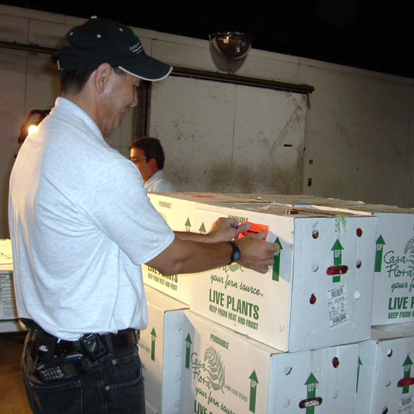 Hawaii inspector inspecting boxes